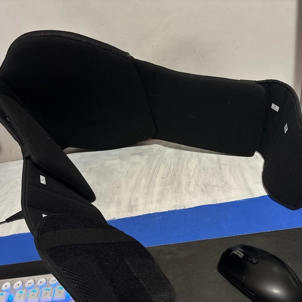 Vive lumbar back